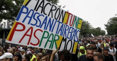 Petit manuel de manifestation pour royalistes Petit manuel de manifestation pour royalistes