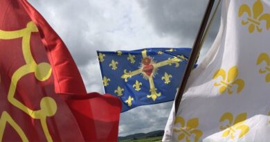 Petit guide pour combattant contre-révolutionnaire, par Paul de Beaulias Petit guide pour combattant contre-révolutionnaire, par Paul de Beaulias