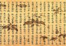Étude comparative historique du Sutra du Lotus, du Coran et du Nouveau Testament, par Paul de Lacvivier