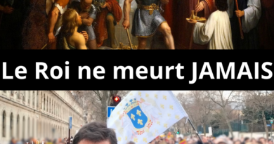 La royauté et la politique en France