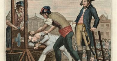 L’idiotie révolutionnaire