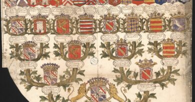 Archives départementales du Rhône, Preuves de Malte