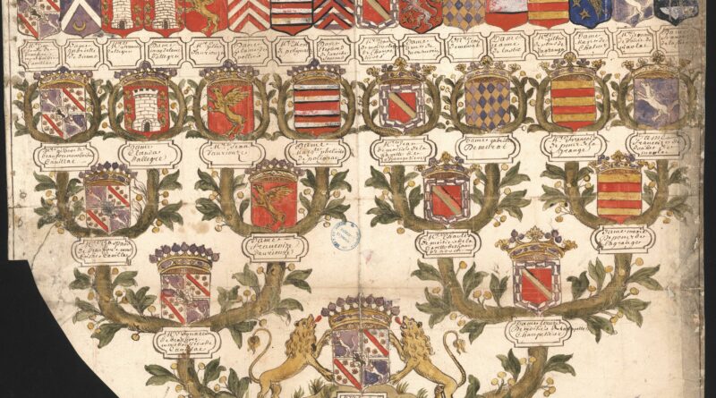 Archives départementales du Rhône, Preuves de Malte